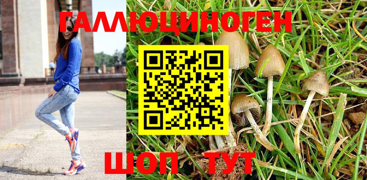 купить наркотик  Псилоцибиновые грибы Magic Shrooms  Вход с VPN  Домодедово  Псилоцибиновые грибы Psilocybine cubensis 